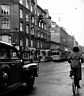 falkoneralle57-1950.JPG