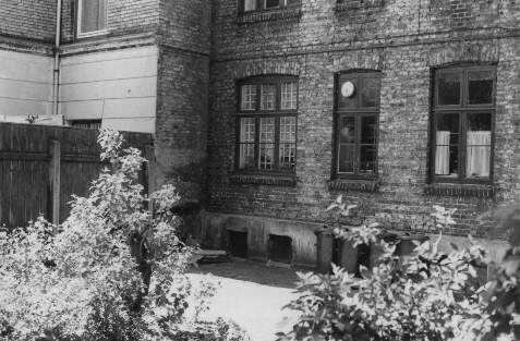 falkalle197726.jpg