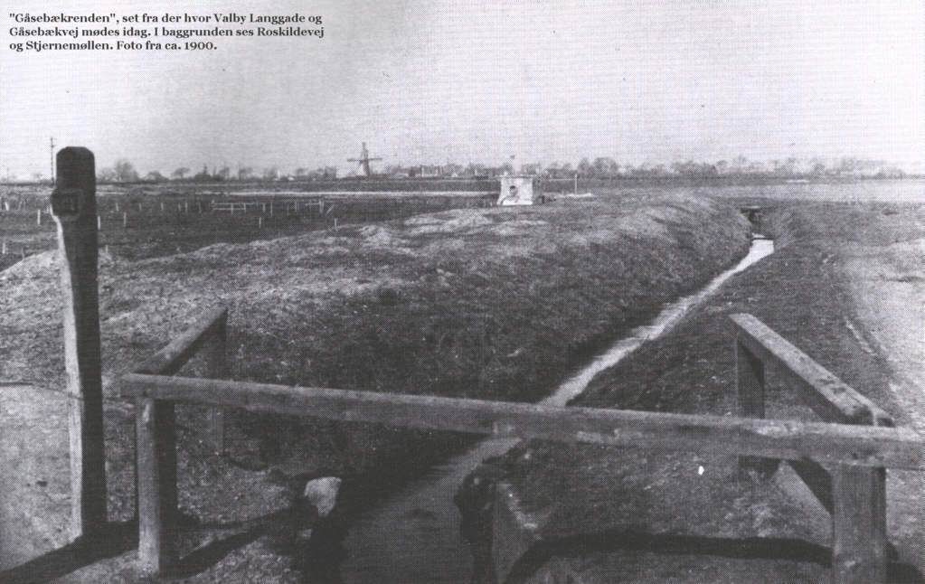 gaasebaekken1900.jpg