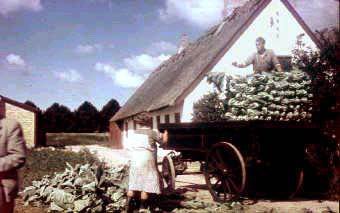 glenebrgrd19441.jpg