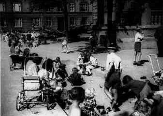 langpl194903.jpg