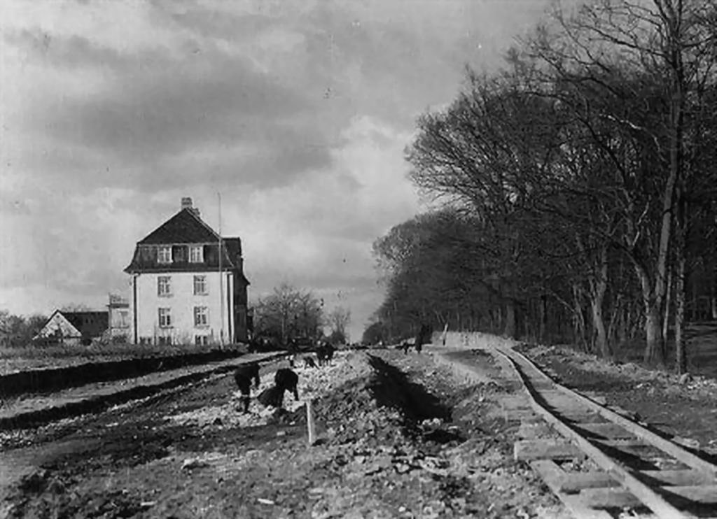 sdrfasan541919.jpg