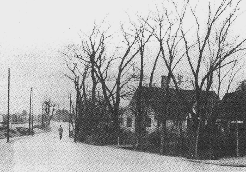 vigerslev02.jpg